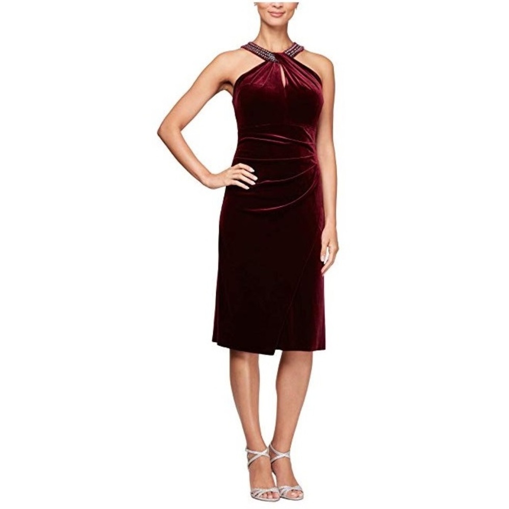 Alex Evenings Women's Short Sleeveless Velvet Drs